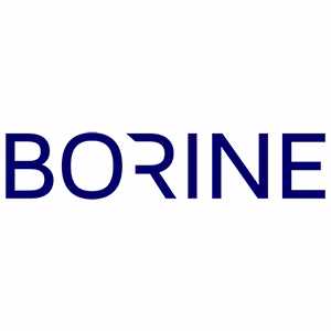 Pt Borine Technoloy Indonesia
